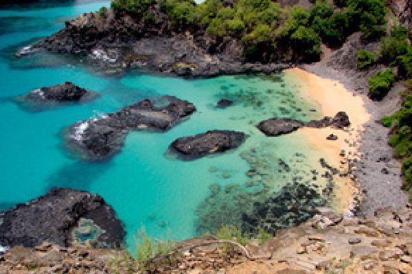 Baia dos Porcos